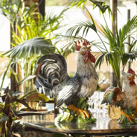 Hotel Grecotel Luxme Costa Botanica