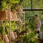 Hotel Grecotel Luxme Costa Botanica Acharavi (Corfu)